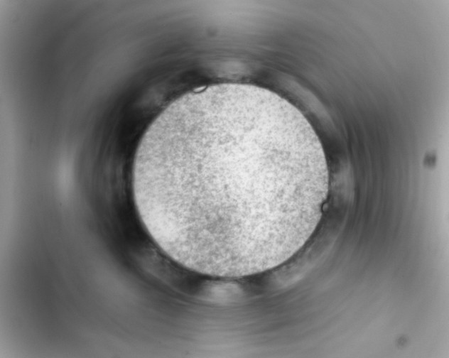 X0000103160572200809192056