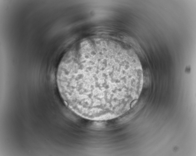 X0000103160573200809192056