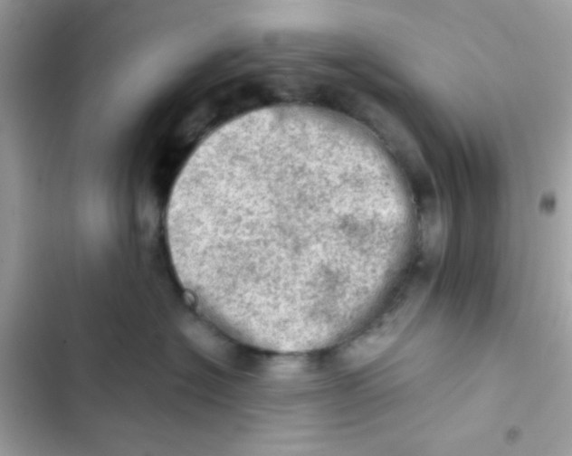 X0000103160574200809192056