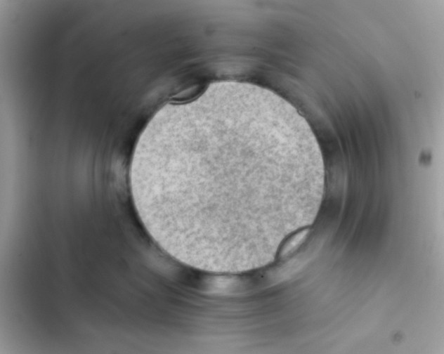 X0000103160575200809192056
