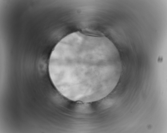 X0000103160576200809192056