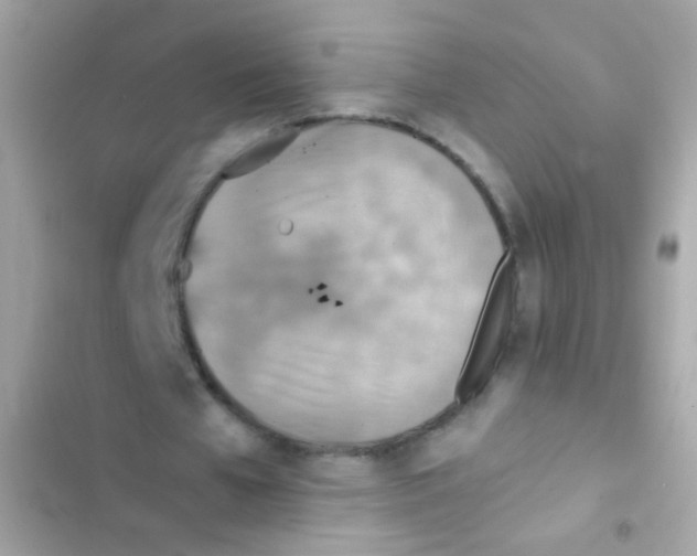 X0000103160577200809192055