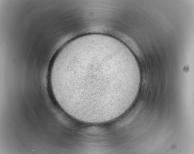 X0000103160578200809192055
