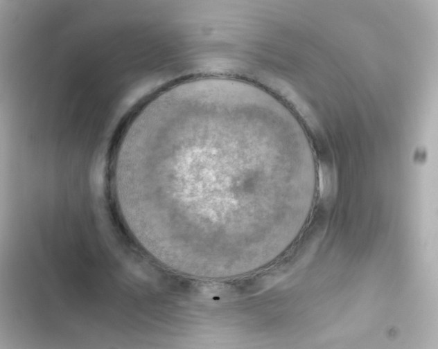X0000103160579200809192055