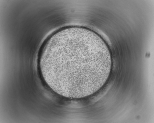 X0000103160580200809192055
