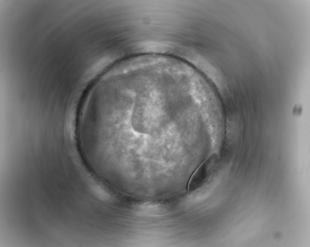 X0000103160581200809192055
