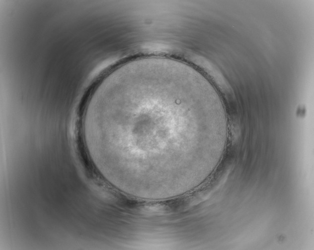 X0000103160583200809192055