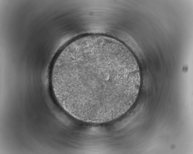 X0000103160584200809192055
