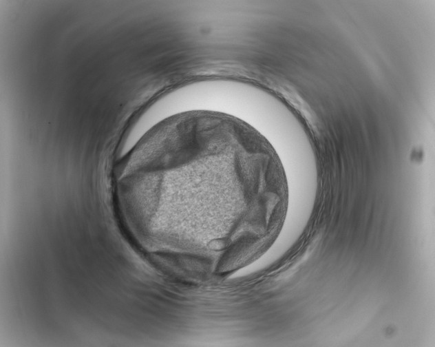 X0000103160585200809192055
