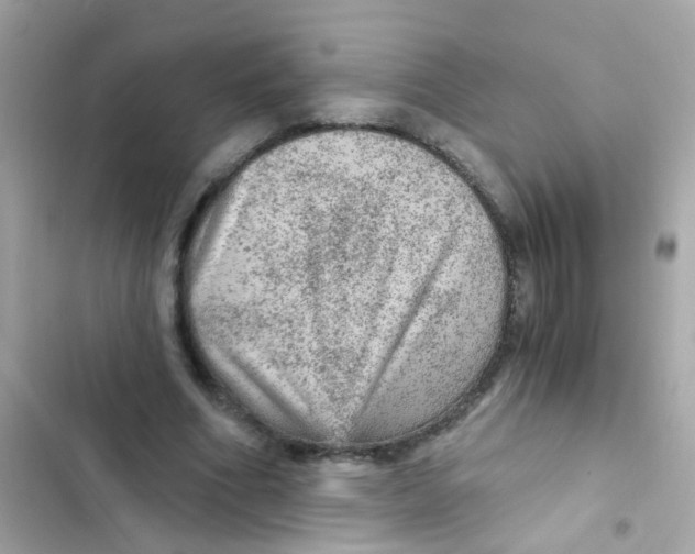 X0000103160586200809192055