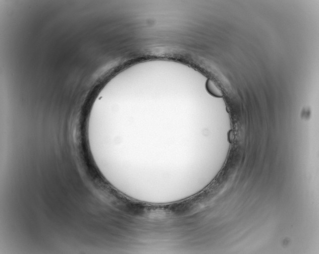 X0000103160587200809192055