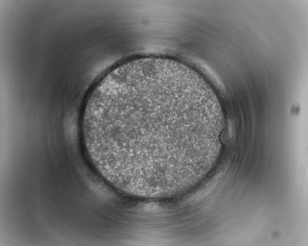 X0000103160588200809192055