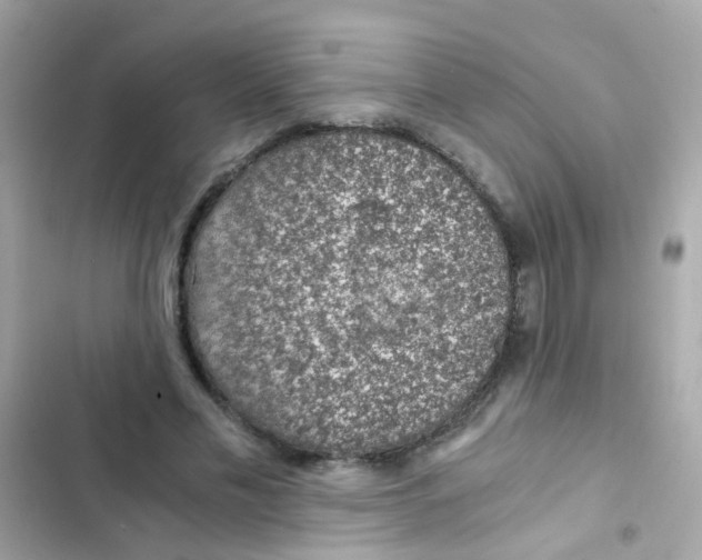 X0000103160589200809192055