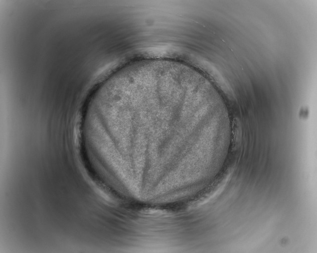 X0000103160590200809192055
