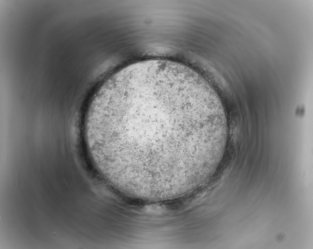 X0000103160591200809192055
