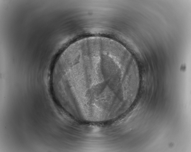 X0000103160592200809192055