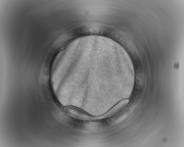 X0000103160593200809192055