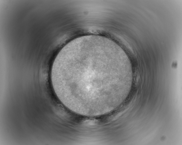 X0000103160595200809192055