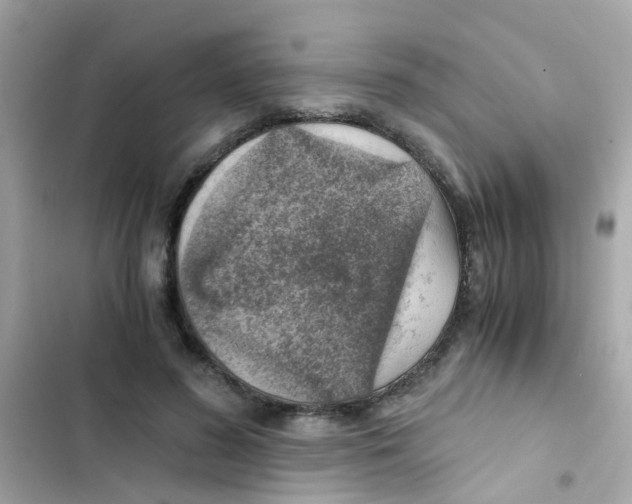 X0000103160596200809192055