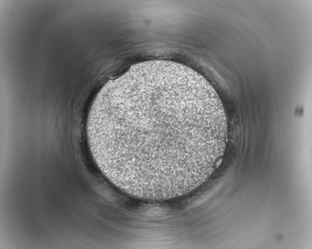 X0000103160597200809192055