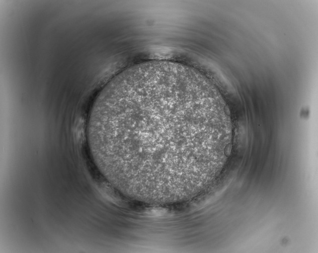 X0000103160598200809192055