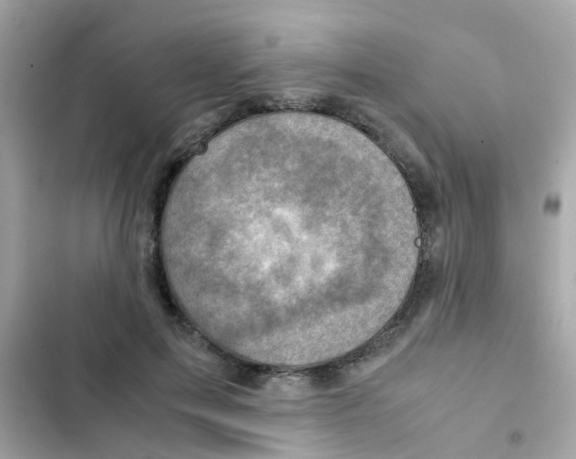 X0000103160599200809192055