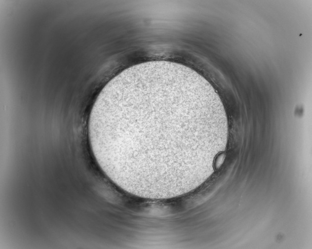 X0000103160601200809192055