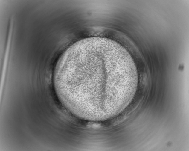X0000103160602200809192055
