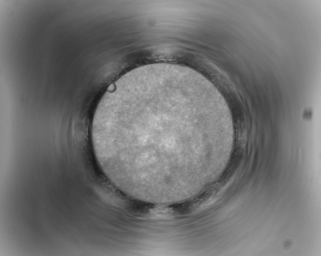 X0000103160603200809192055