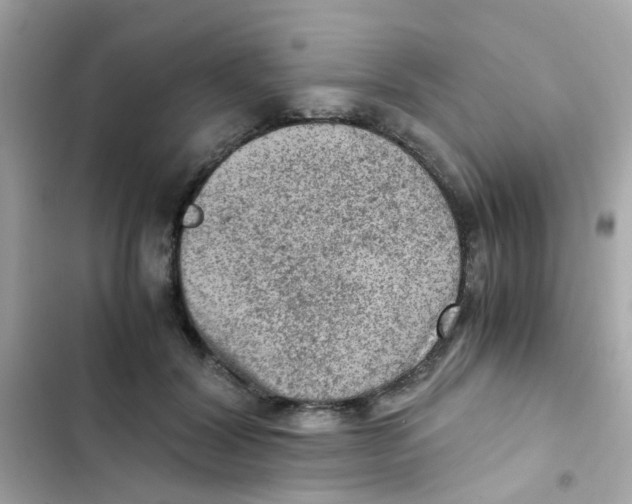 X0000103160604200809192055