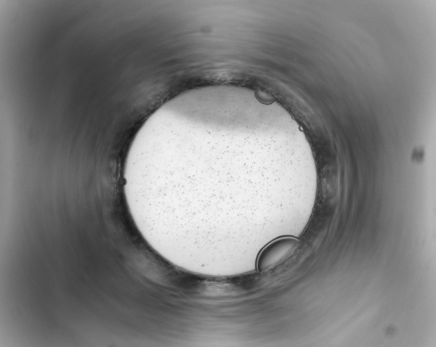 X0000103160605200809192055