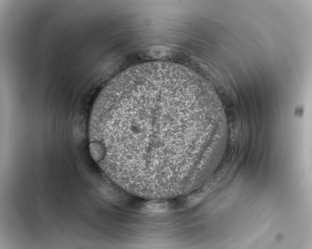 X0000103160606200809192055