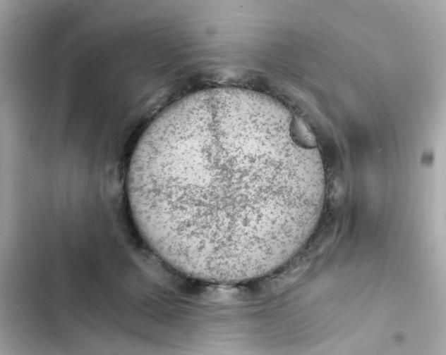 X0000103160607200809192055