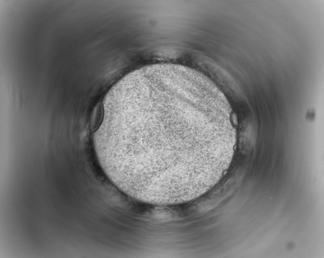 X0000103160608200809192055