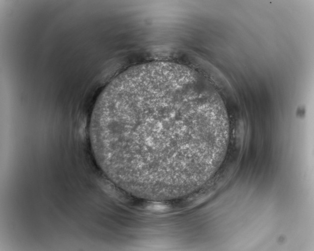 X0000103160610200809192055