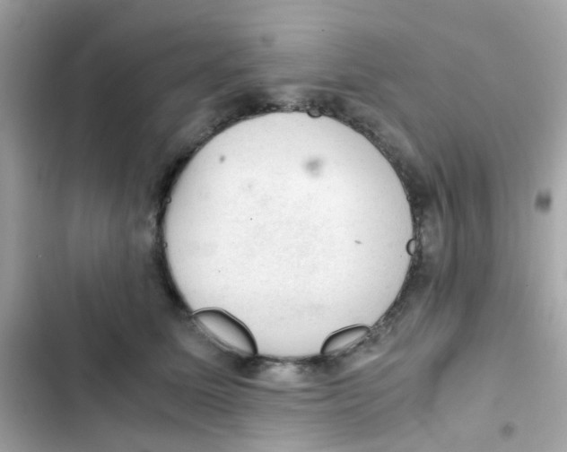 X0000103160611200809192055