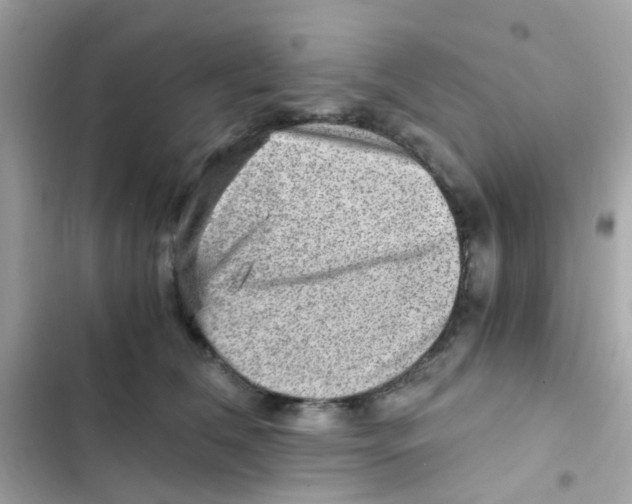 X0000103160612200809192055