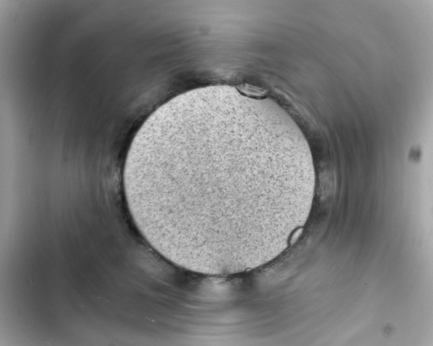 X0000103160613200809192055