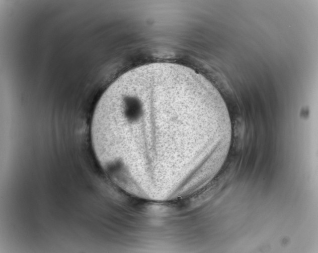 X0000103160614200809192055