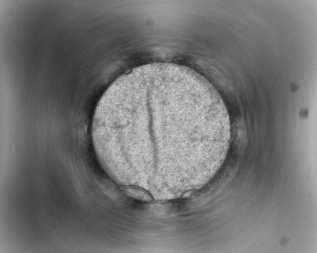 X0000103160615200809192055