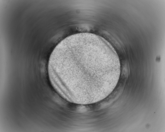 X0000103160616200809192055