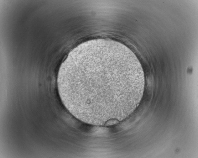 X0000103160617200809192055