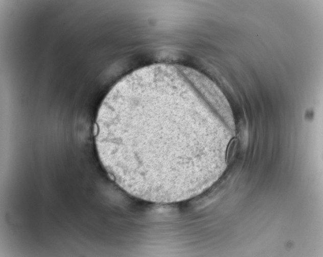 X0000103160619200809192055