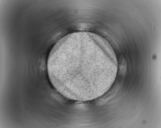 X0000103160620200809192055