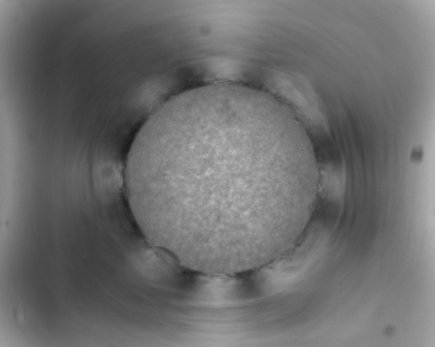 X0000103160621200809192055