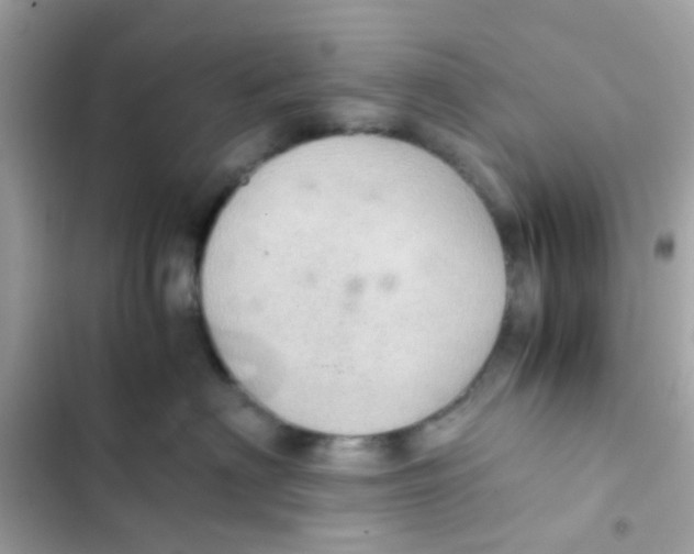 X0000103160622200809192055