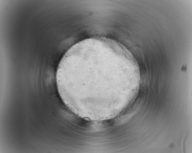 X0000103160623200809192055