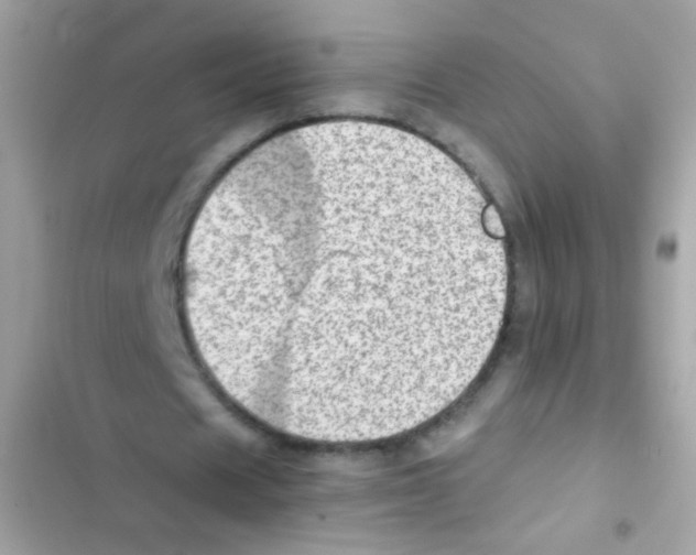 X0000103160625200809192054