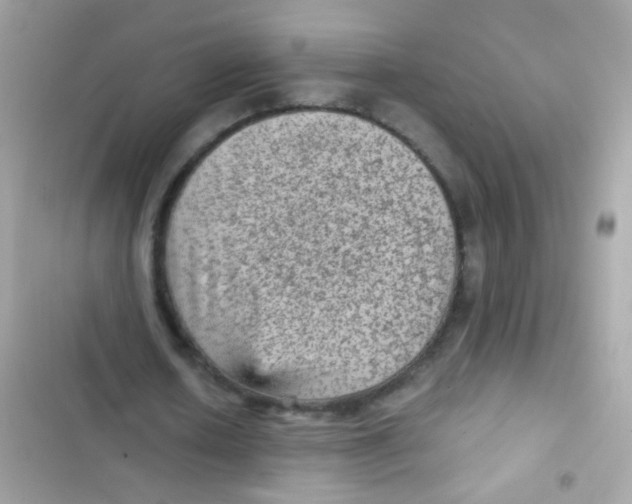X0000103160626200809192054