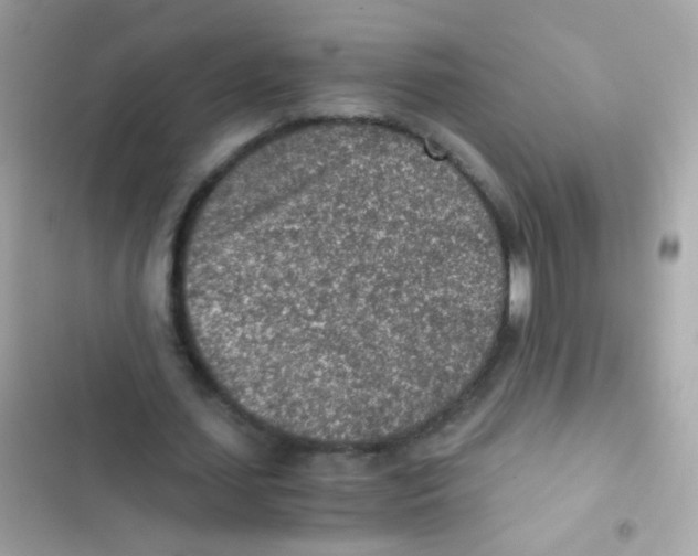 X0000103160627200809192054